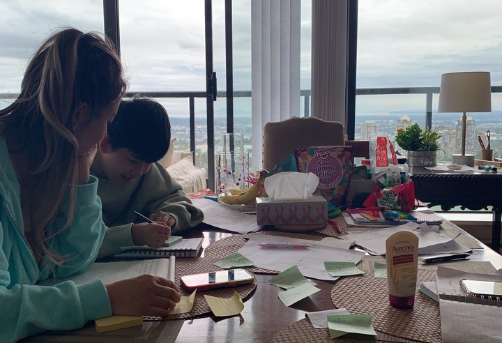 Education — homework and study sessions