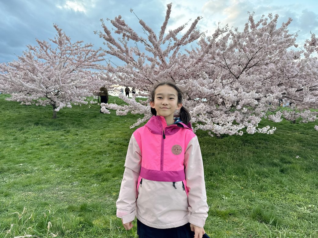 A girl standing under blossoming cherry trees